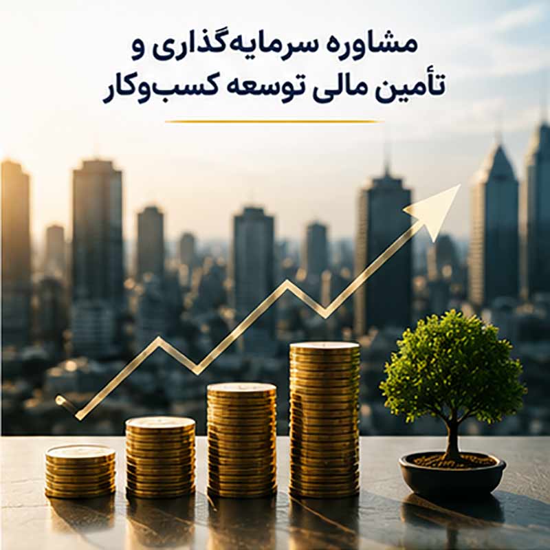 مشاوره سرمایه‌گذاری و تأمین مالی