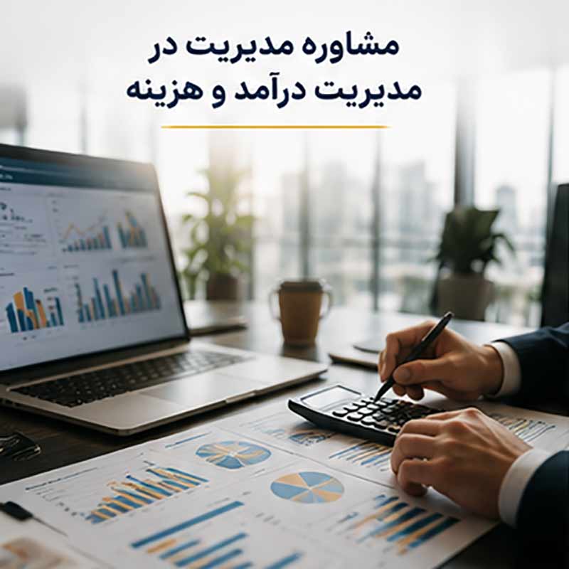مشاوره مدیریت در مدیریت درآمد و هزینه
