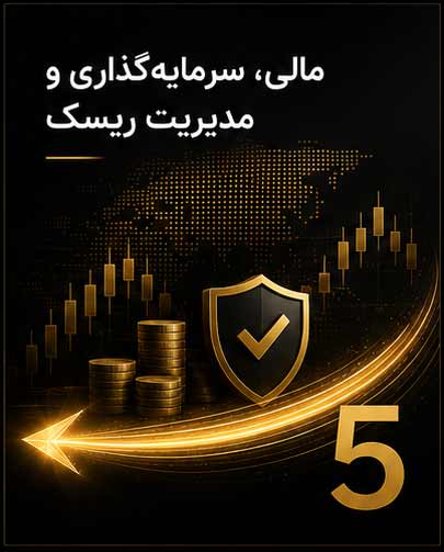 مالی، سرمایه‌گذاری و مدیریت ریسک